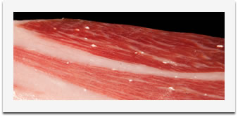 Taches blanches dans Jambon Ib&eacute;rique Pata Negra